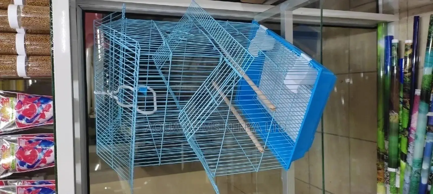 Cage, Blue Bird Cage, Budgies Cage