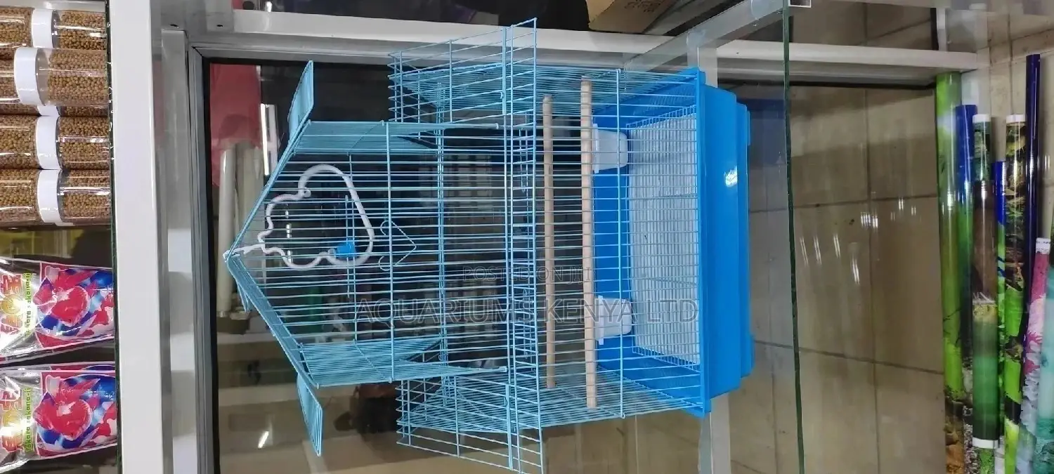Bird House Structured , Bird Cage for Small Parrots
