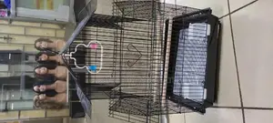 Bird Cage for Small Parrots