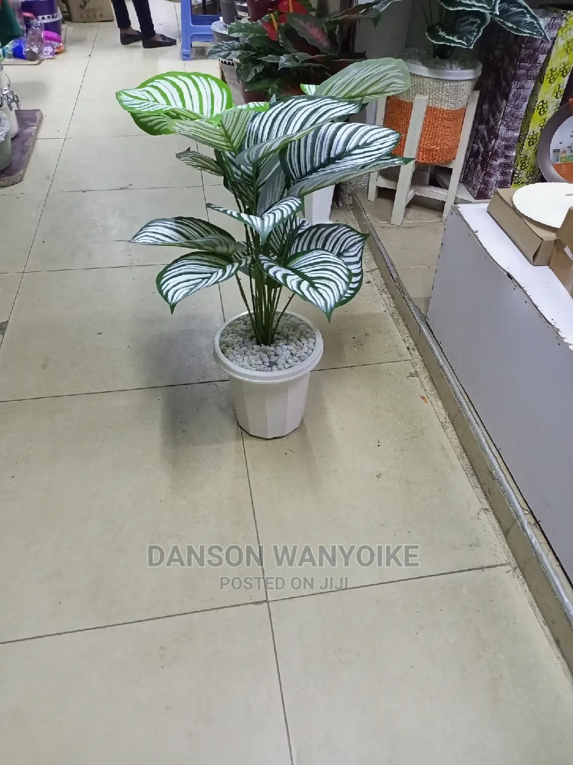 Flower for Sale
