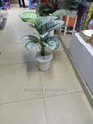 Flower for Sale