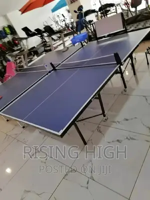 Great Quality Heavy-duty Commercial Table Tennis