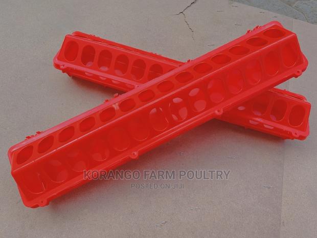 Feeding Tray - main view