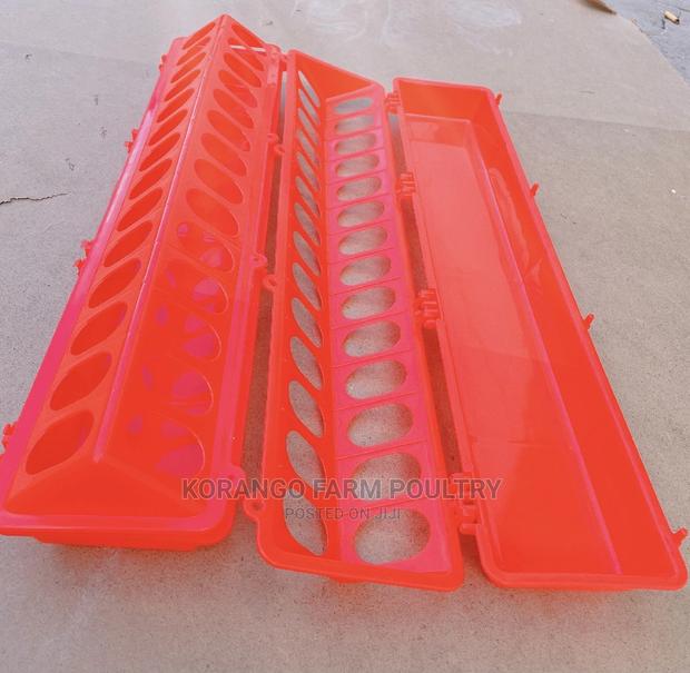 Small Holes Feeders - main view