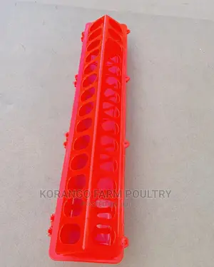 Small Holes Feeders