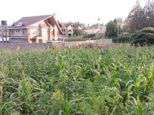 Prime Residential Plot for Sale in Kikuyu Ondiri