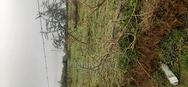 Prime Residential Plots for Sell!! - thumbnail 3