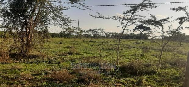 Prime Residential Plots for Sell!! - thumbnail 4