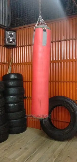 Gym Punching Bag