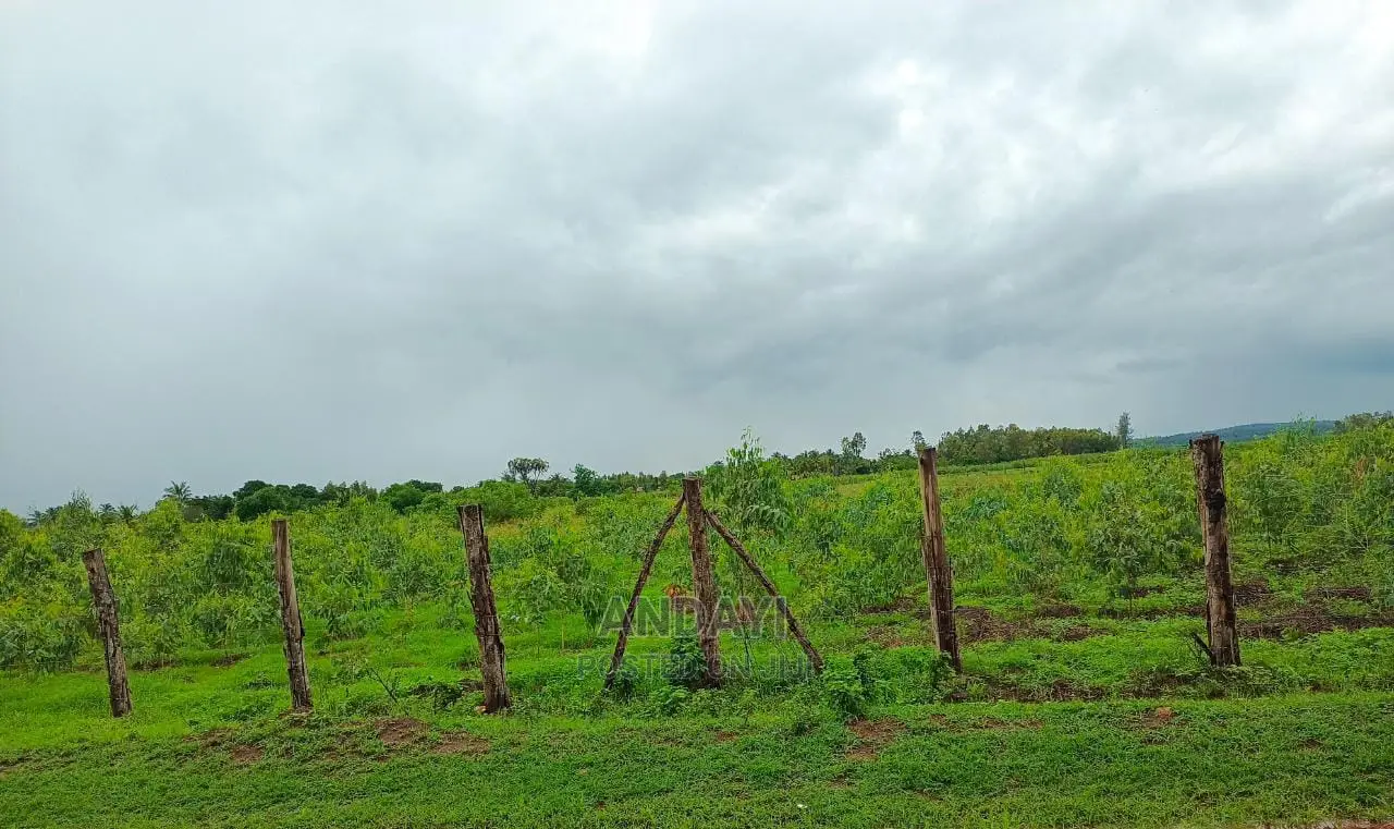 Land for Sale - Ramisi - Kwale County