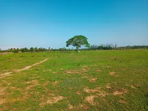 Land for Sale - Ramisi - Kwale County