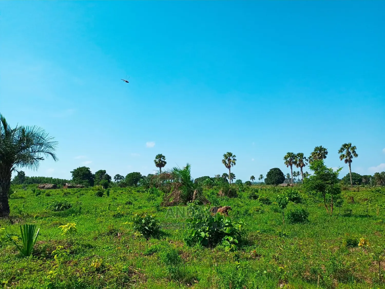 Land for Sale - Ramisi - Kwale County