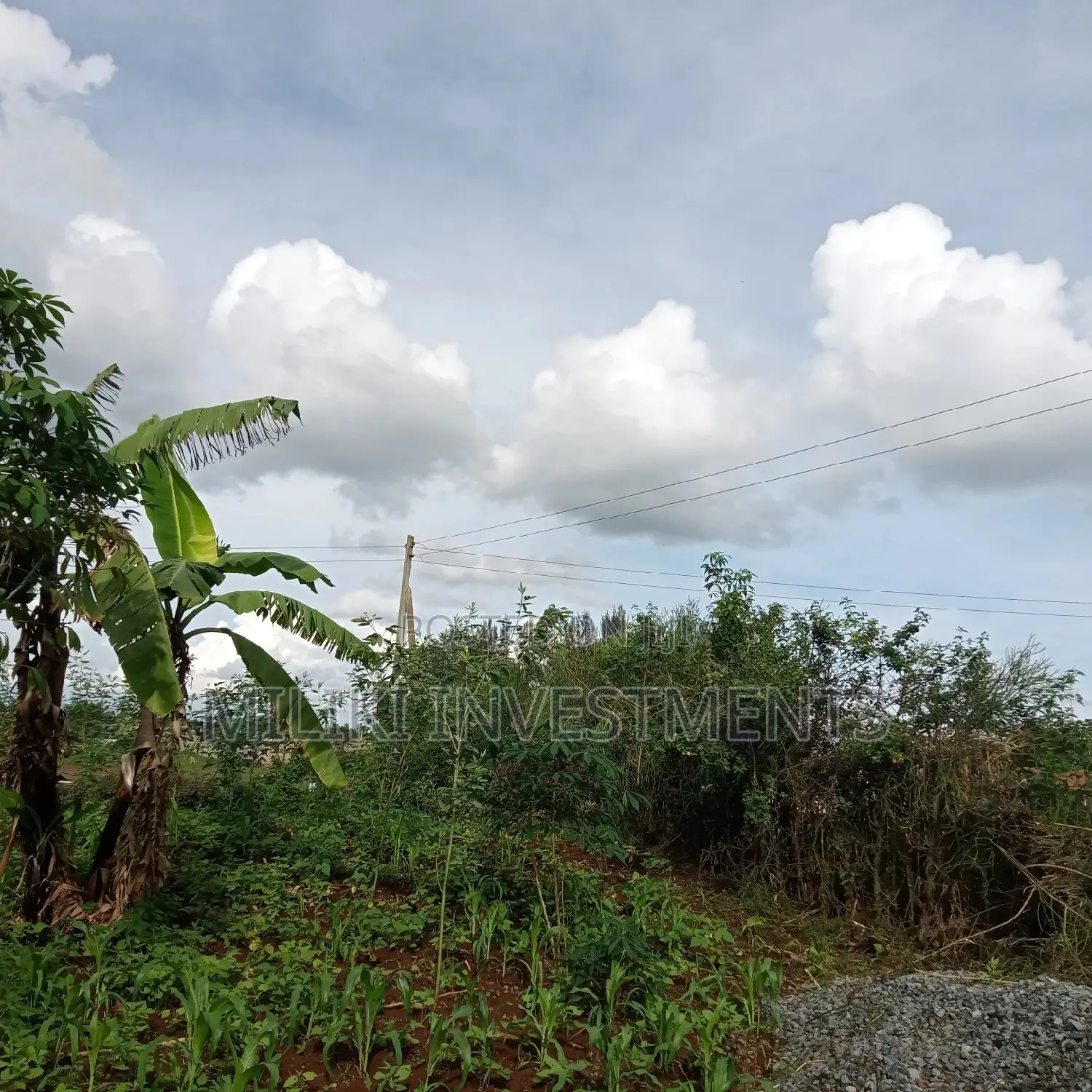 Kenol Plots for Sale,40 By80