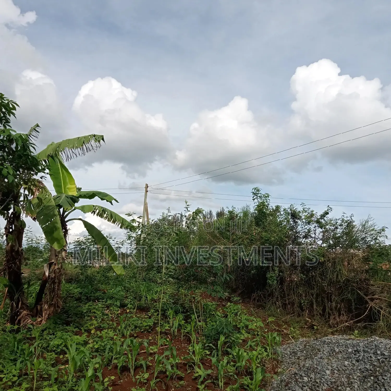 Kenol Plots for Sale,40 By80