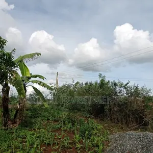 Kenol Plots for Sale,40 By80