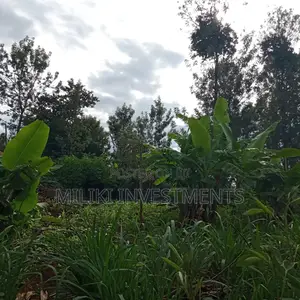 Kenol Plots for Sale,40 By80