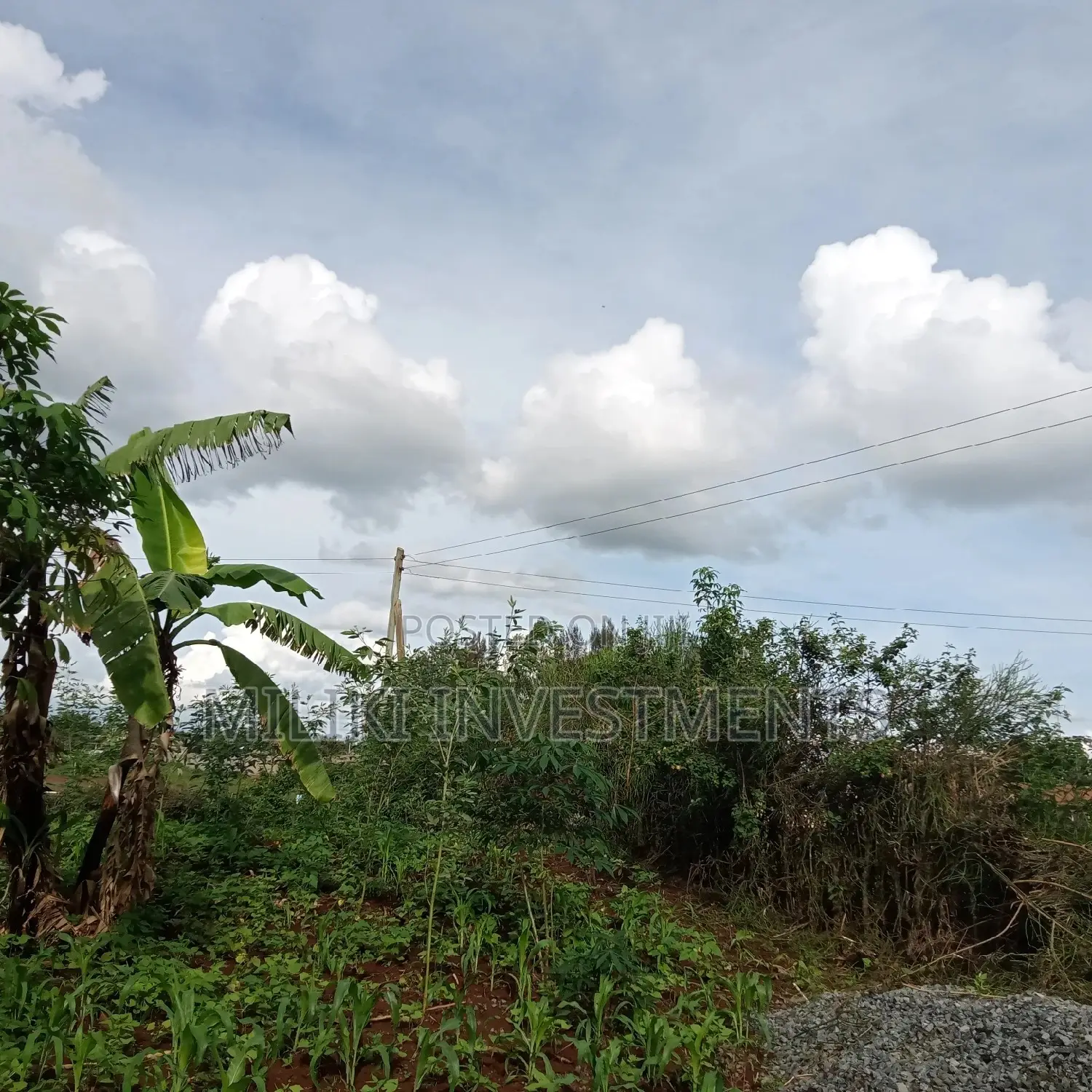 Kenol Plots for Sale,40 By80