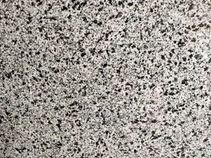 Black and White Granite Countertop