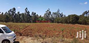 Residential 50 By 100ft Plots For Sale In Kikuyu Limuru Mutarakwa. - thumbnail 2