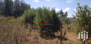 Residential 50 By 100ft Plots For Sale In Kikuyu Limuru Mutarakwa.
