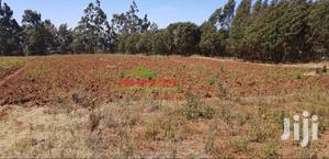 Residential 50 By 100ft Plots For Sale In Kikuyu Limuru Mutarakwa.