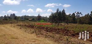 Residential 50 By 100ft Plots For Sale In Kikuyu Limuru Mutarakwa.