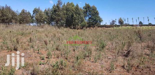 Residential 50 By 100ft Plots For Sale In Kikuyu Limuru Mutarakwa. - thumbnail 10