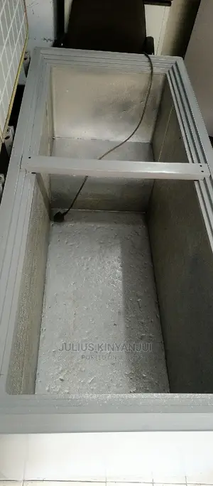 Double Door Freezer