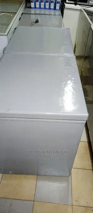Double Door Freezer