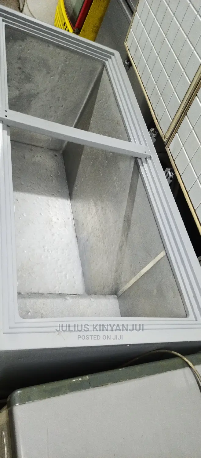 2 Door Freezer 600L