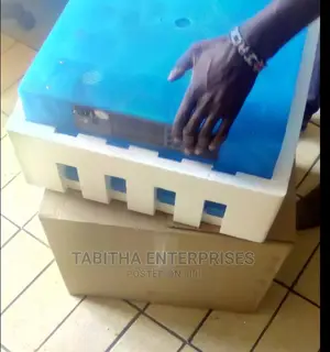 Egg Incubator ( New
