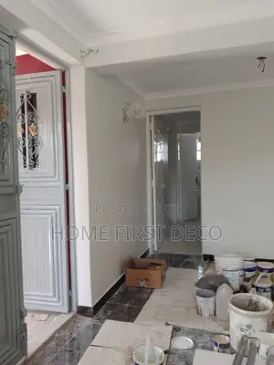Professional Painting Services