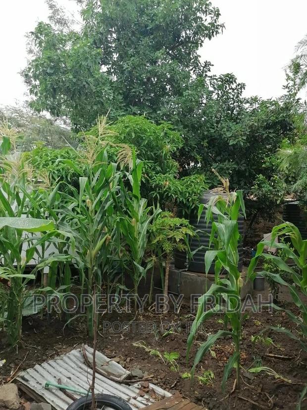 3bdrm Maisonette in Kitengela for rent - thumbnail 7