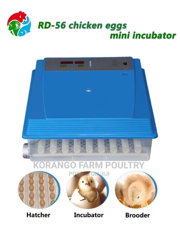 Solar Electric Automatic 56 Eggs Incubator - main view