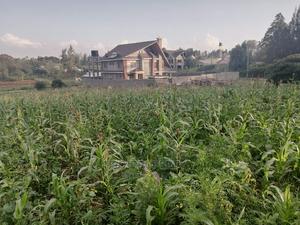 Prime Half Acre Plot for Sale in Kikuyu, Ondiri. - thumbnail 2