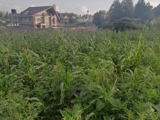 Prime Half Acre Plot for Sale in Kikuyu, Ondiri. - thumbnail 5