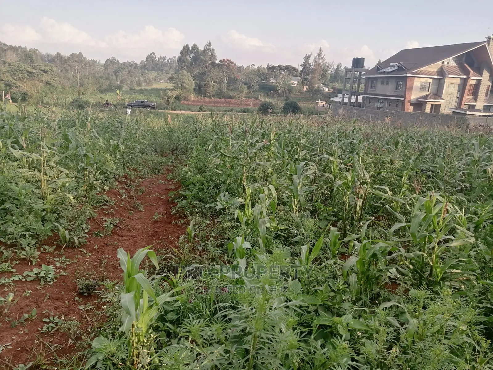 Prime Half Acre Plot for Sale in Kikuyu, Ondiri.