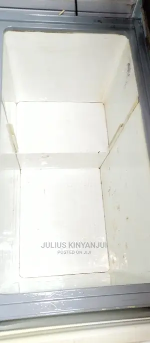 Deep Freezer 300L
