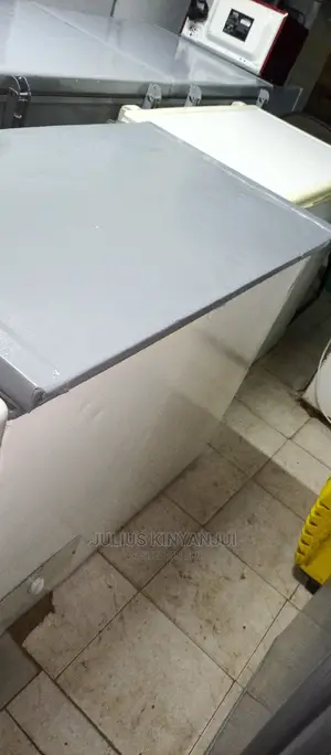 Deep Freezer 300L