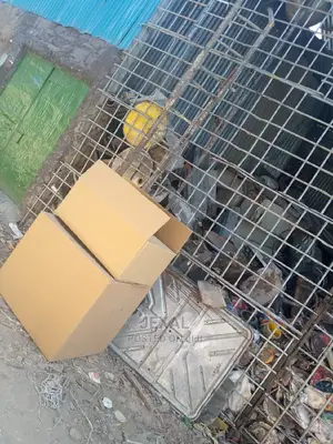 All Sizes All Types of Boxes
