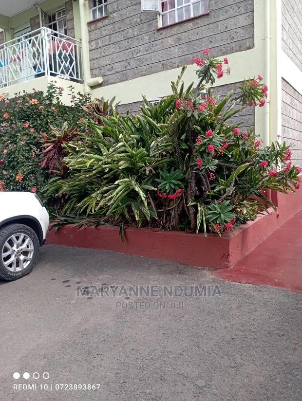 3bdrm Apartment in South C for Rent - thumbnail 15