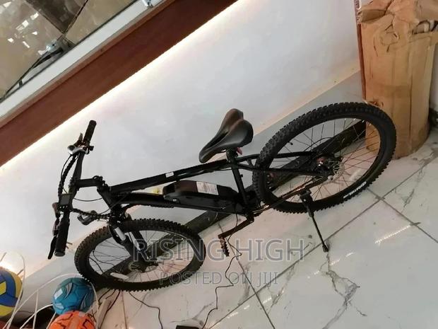 The Best Quality Electric Bike - main view