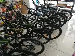 Great Quality Japan Speed Bikes