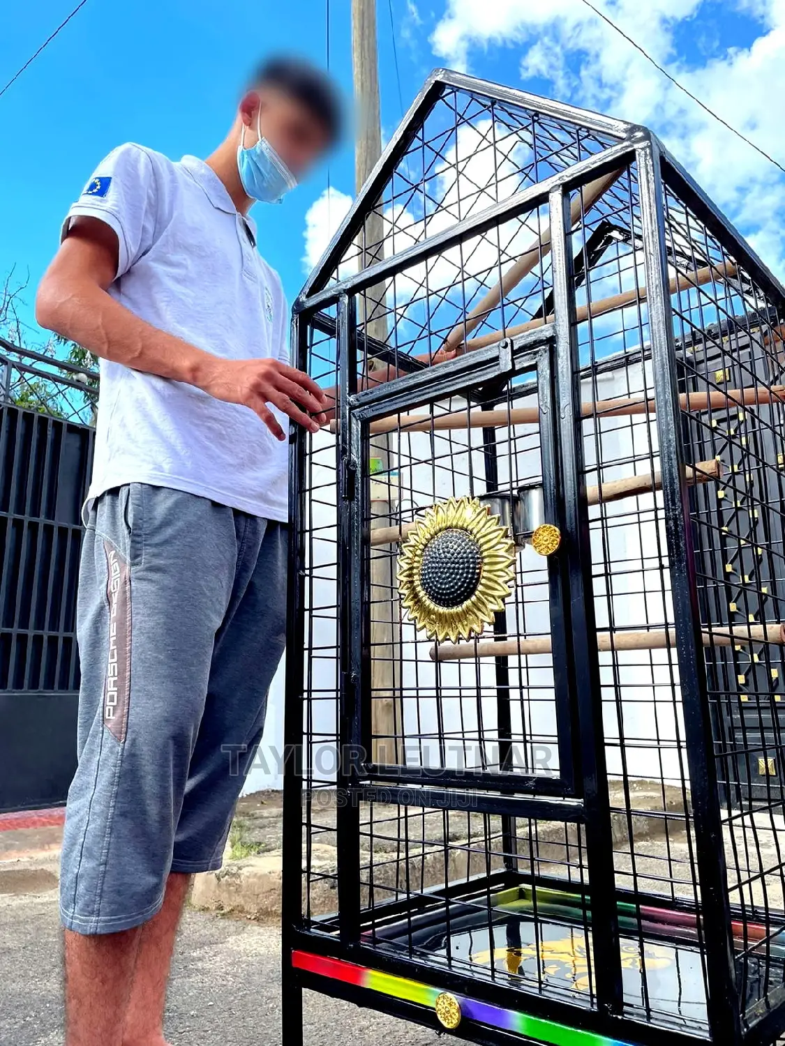 Pegions Parrot Cages