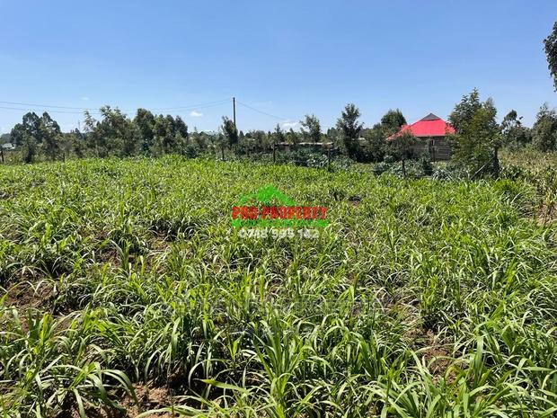 0.05 Ha Prime Residential Plot for Sale in Kikuyu, Kamangu. - thumbnail 4