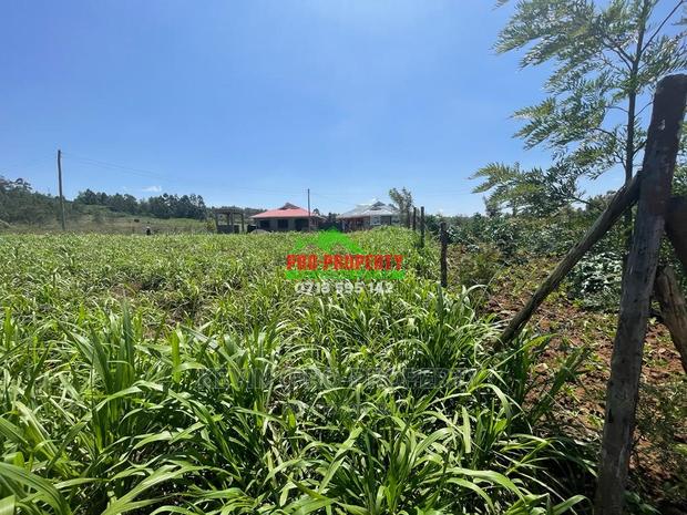0.05 Ha Prime Residential Plot for Sale in Kikuyu, Kamangu. - thumbnail 11