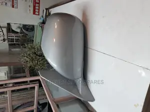 Prado 120 Side Mirror