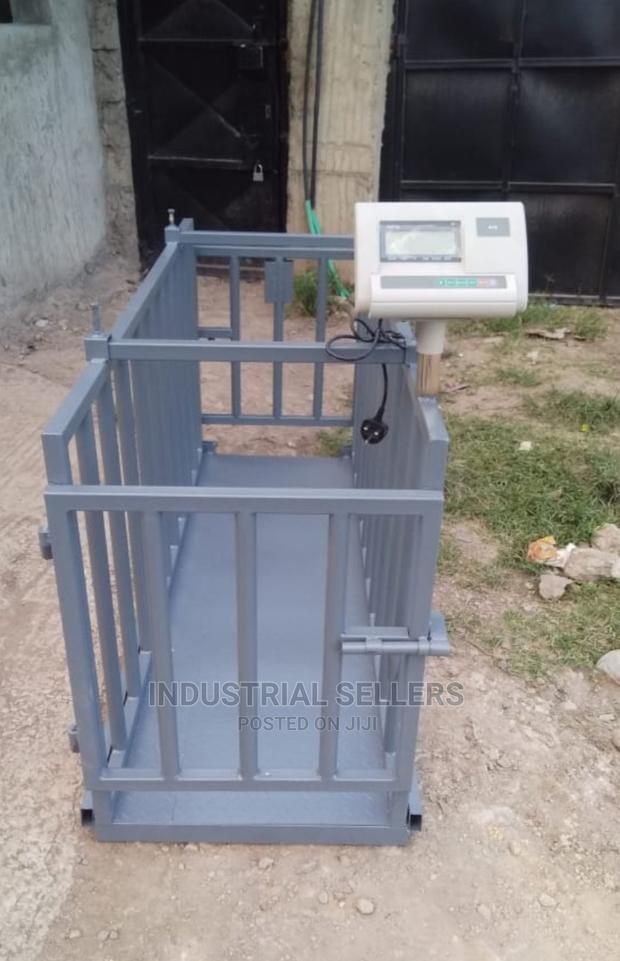 Animal Weighing Scales - main view