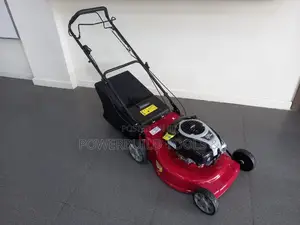 Briggs Stratton Petrol Lownmower (Wys21)