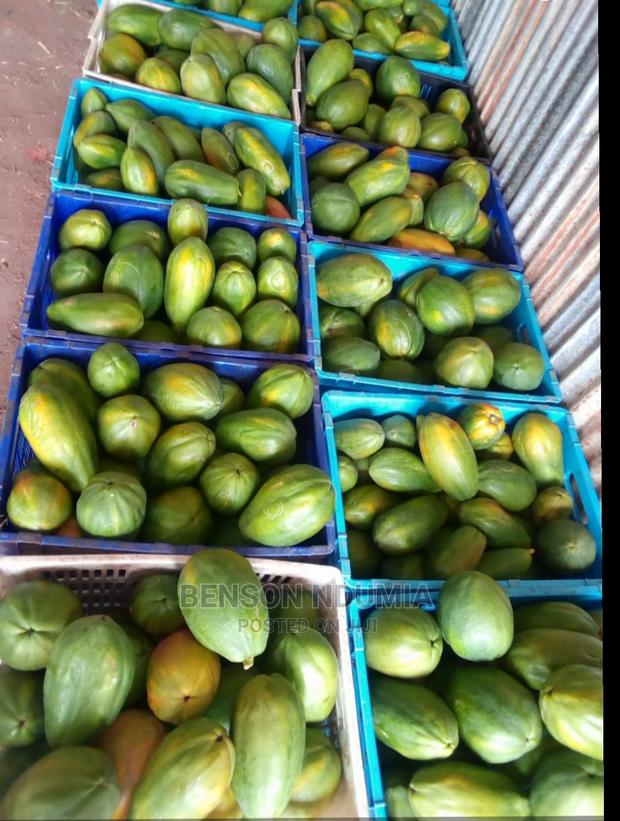 Dwarf Hybrid Pawpaw Seedlings - thumbnail 6